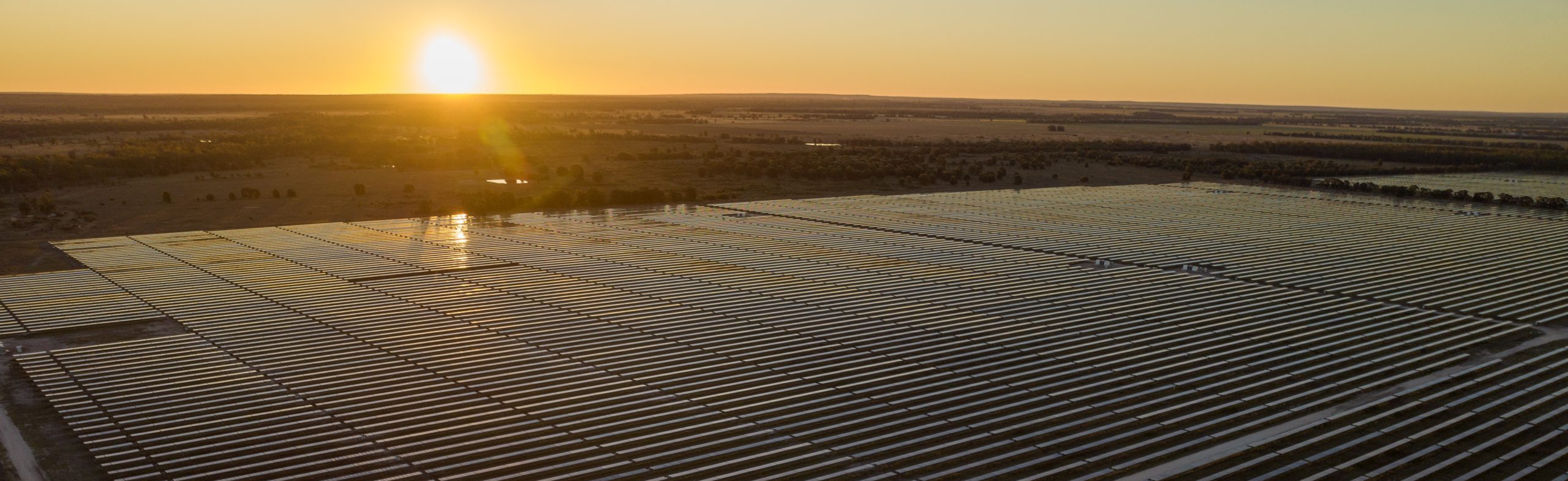 An aerial view of the Western Downs Green Power Hub. You can see fields of solar panels that are lit golden by the sunset behind them.