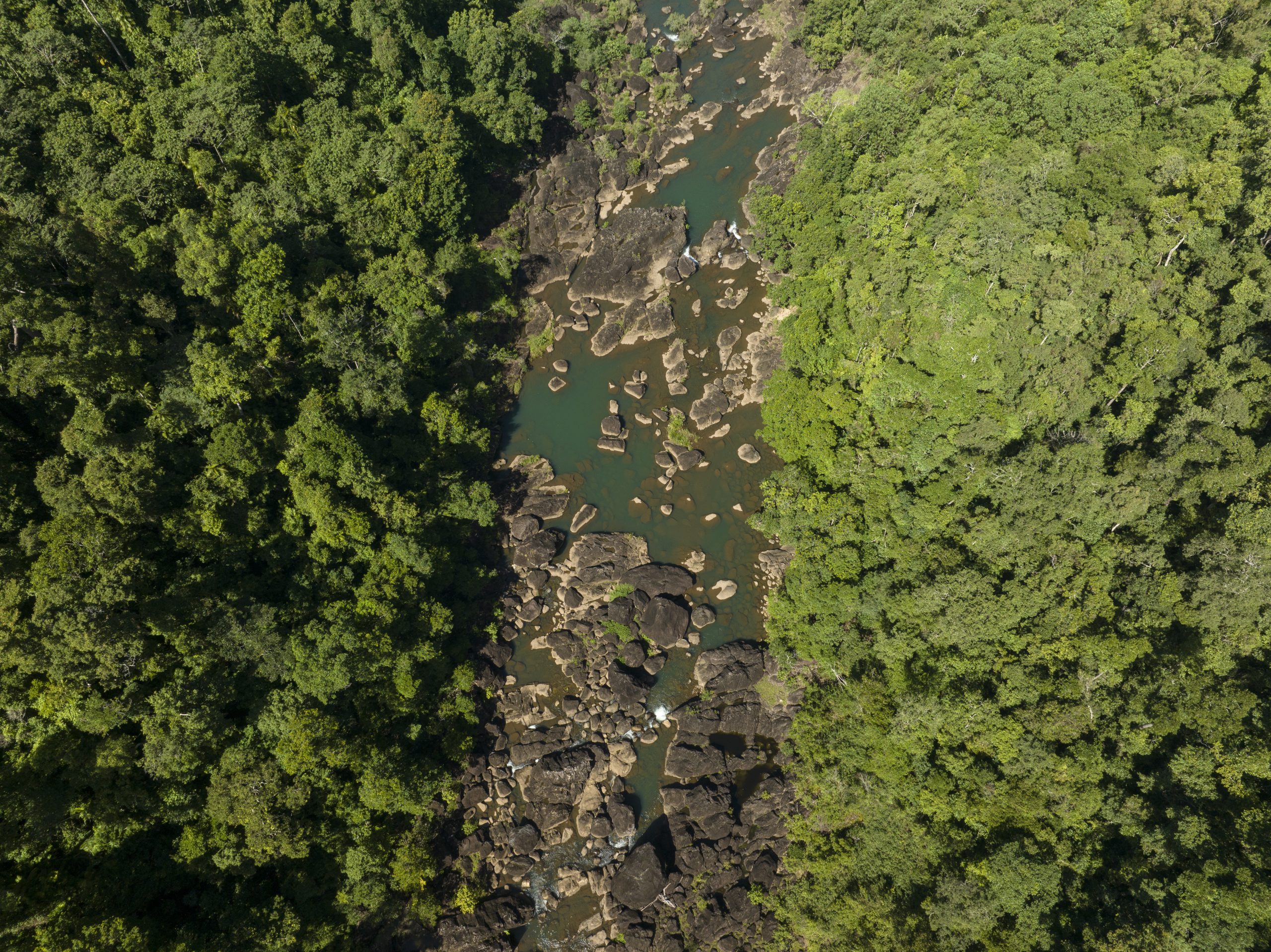 Tully River and surrounding greenery