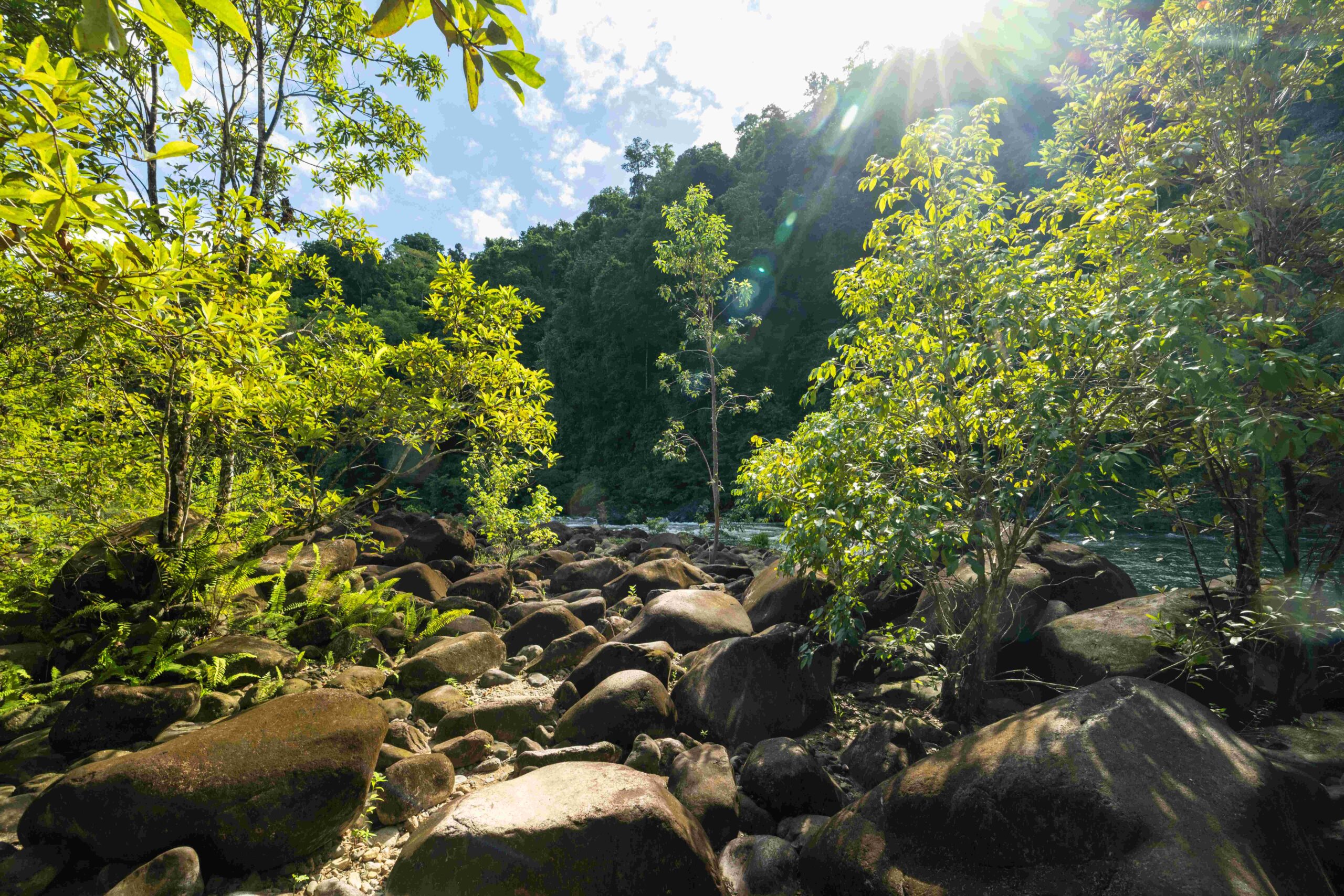 A photograph of sunlight streaming over the Tully River in far north Queensland